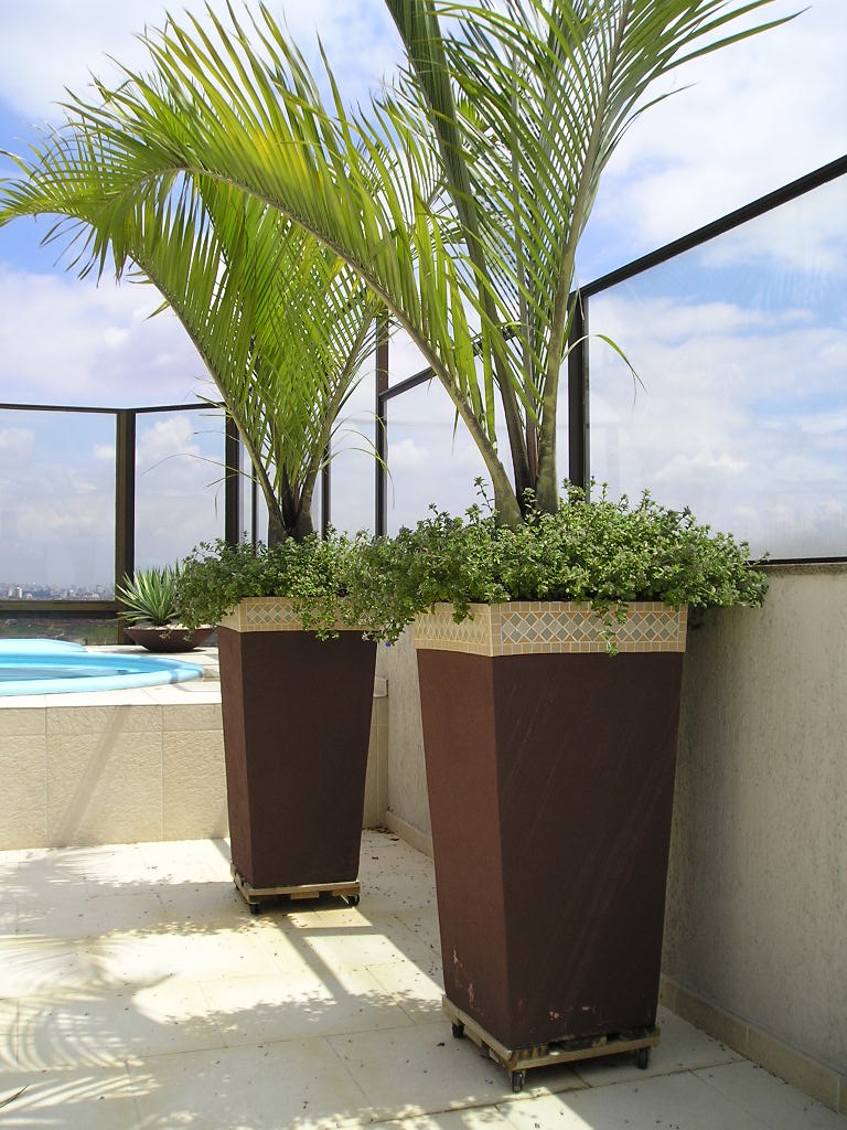 Plantas Ornamentais