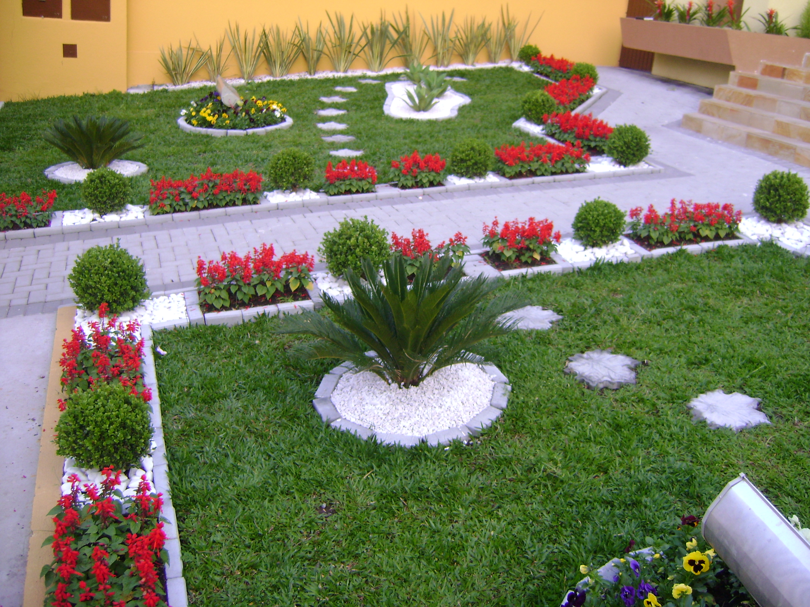 Projeto Jardim Colorido