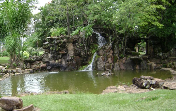 Projeto Jardim Natural