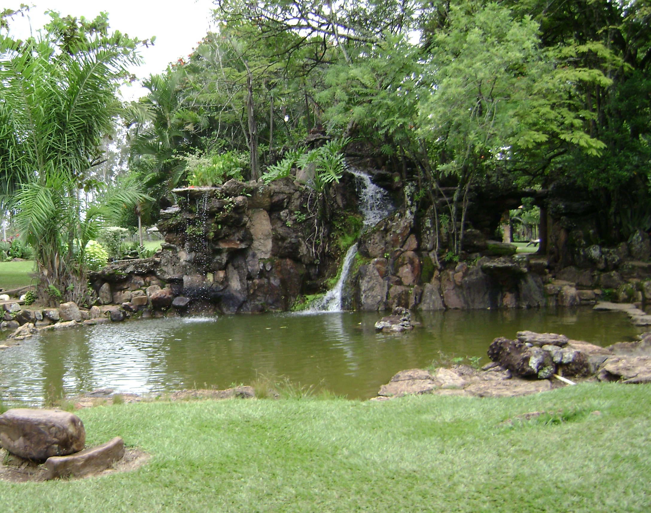 Projeto Jardim Natural