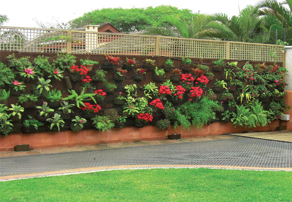 Projeto Jardim Vertical V