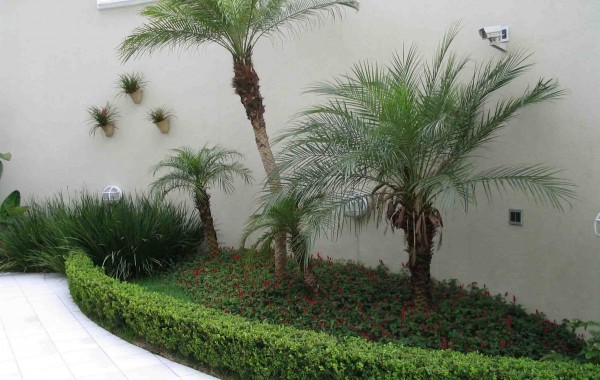 Jardim de Inverno