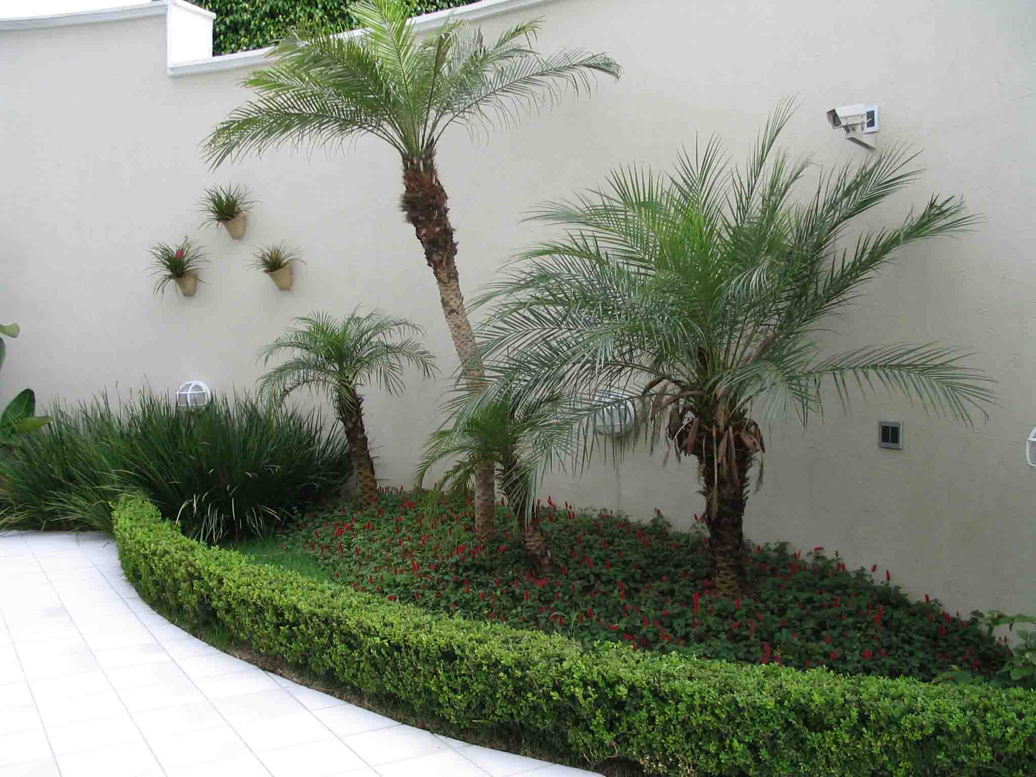 Jardim de Inverno
